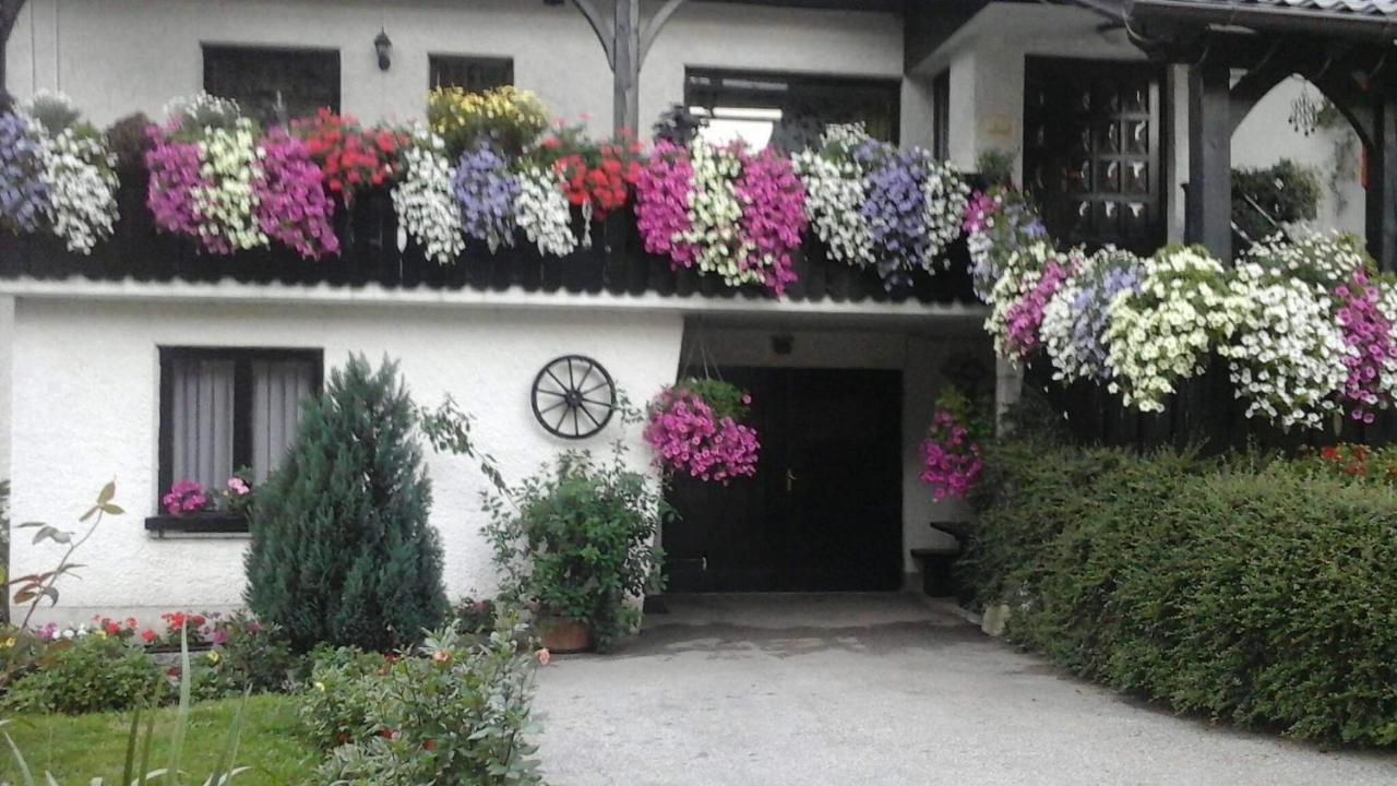 Sobe Tanja Daire Podbrdo Dış mekan fotoğraf